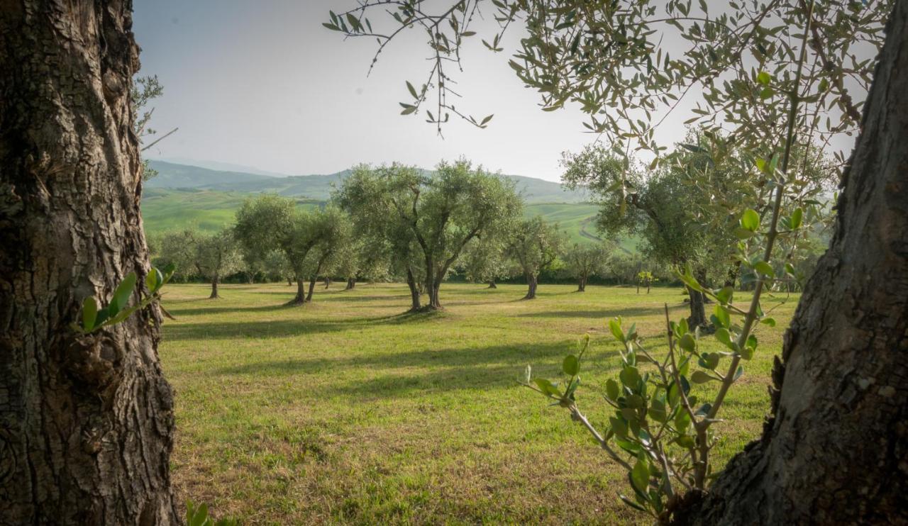 Holiday Home Arpicella Pienza Extérieur photo